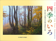 �͵��Τ���Vol.8