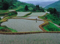 一言一会