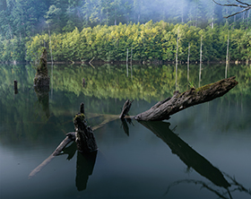 ��������Ϻ