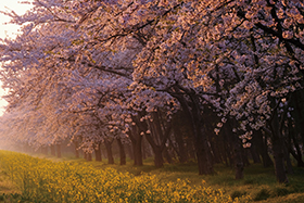 �����ҤȤ�