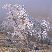 松尾清嗣