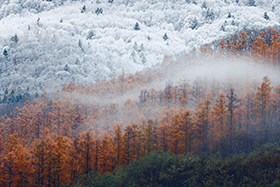 �����ҵ�