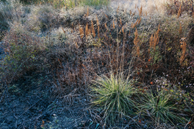 ��Ϥ����