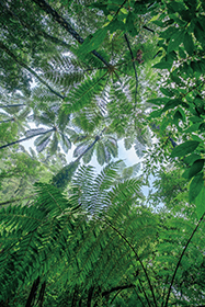 ����ã��