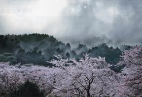 來Ω