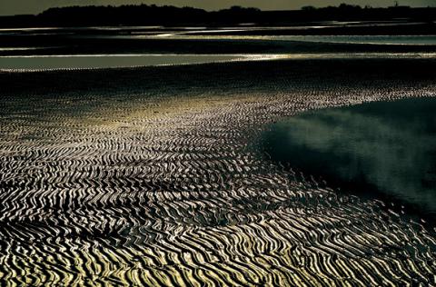 第51号紙上コンテスト | 日本風景写真協会 紙上コンテスト入選作品集