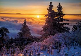 冠雪の朝陽