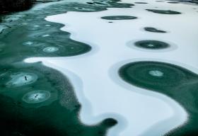 水面の氷紋
