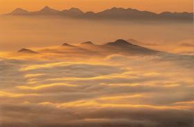 �����ʪ��