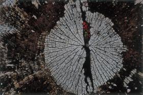 Ʊ������