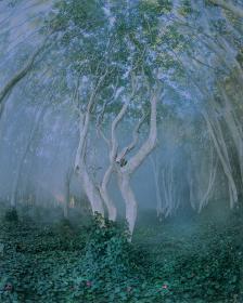 ������2��