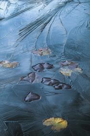 ���Τ���