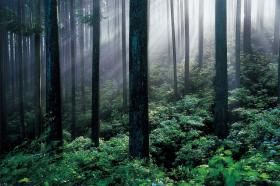 �������ܳФޤ�