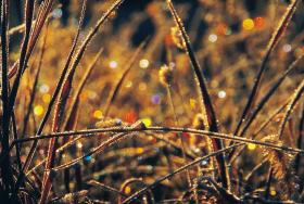 ̴������