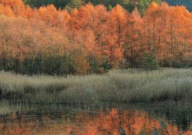 ͼ���˵���