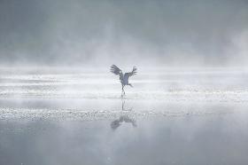 ŷ������