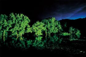 �������⤫��